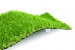 EXELGREEN 123.052