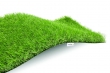 EXELGREEN 123.054