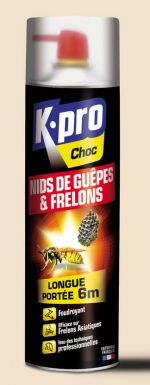 D&Eacute;SODORISANTS, INSECTICIDES & NETTOYANTS 262.242