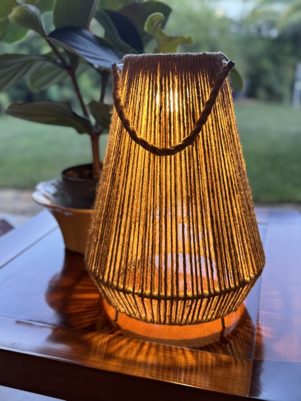 LUMINAIRES EXT&Eacute;RIEURS D&Eacute;CORATIFS 575.224