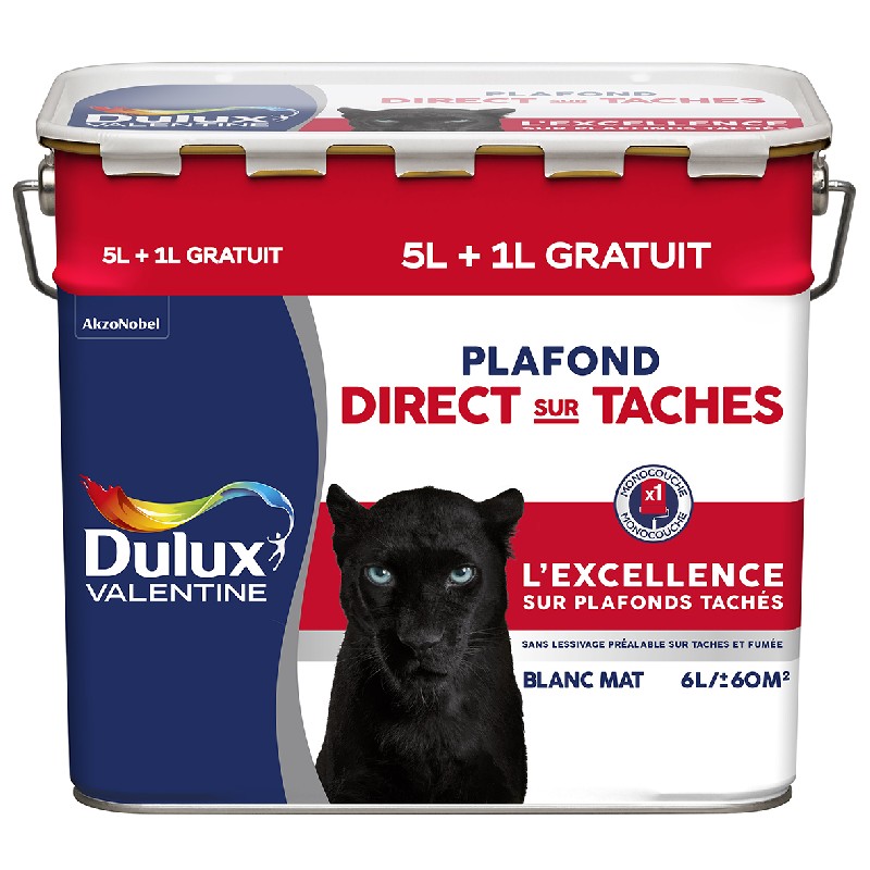Peinture Plafond Direct Sur Taches Application Directe Sur Taches Et Fumee Impermeabilite Renforcee 5 L 1 L Gratuit Mat Blanc