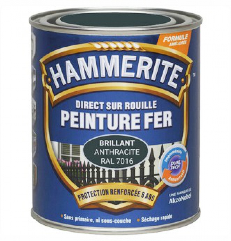 PEINTURES METAUX 665.503