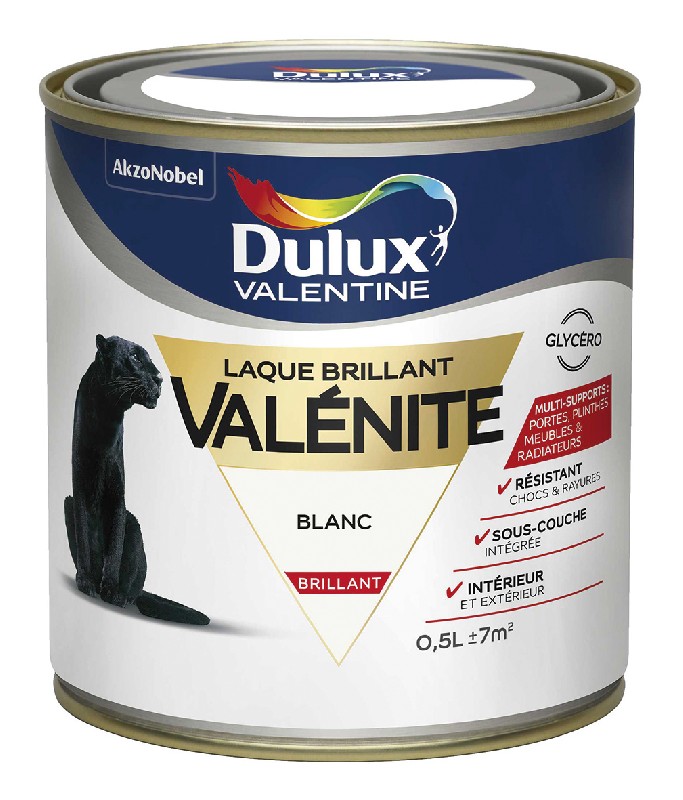PEINTURES MURALES/FA&Ccedil;ADES ET PLAFOND 666.066